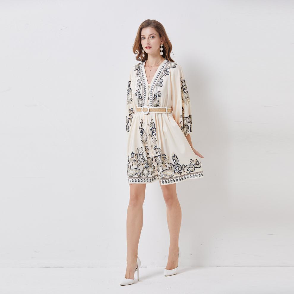 Women's Single-breasted Lantern Sleeve Design Niche Dress - ANIBEY